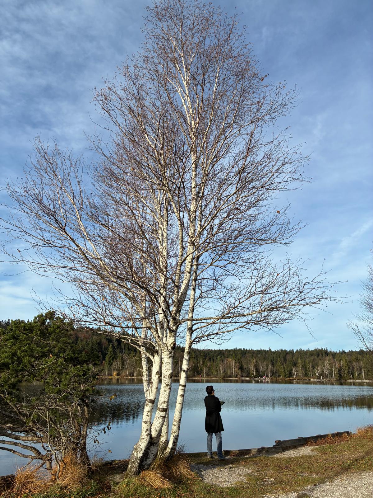 Am_Kirchsee_Herbst_2025