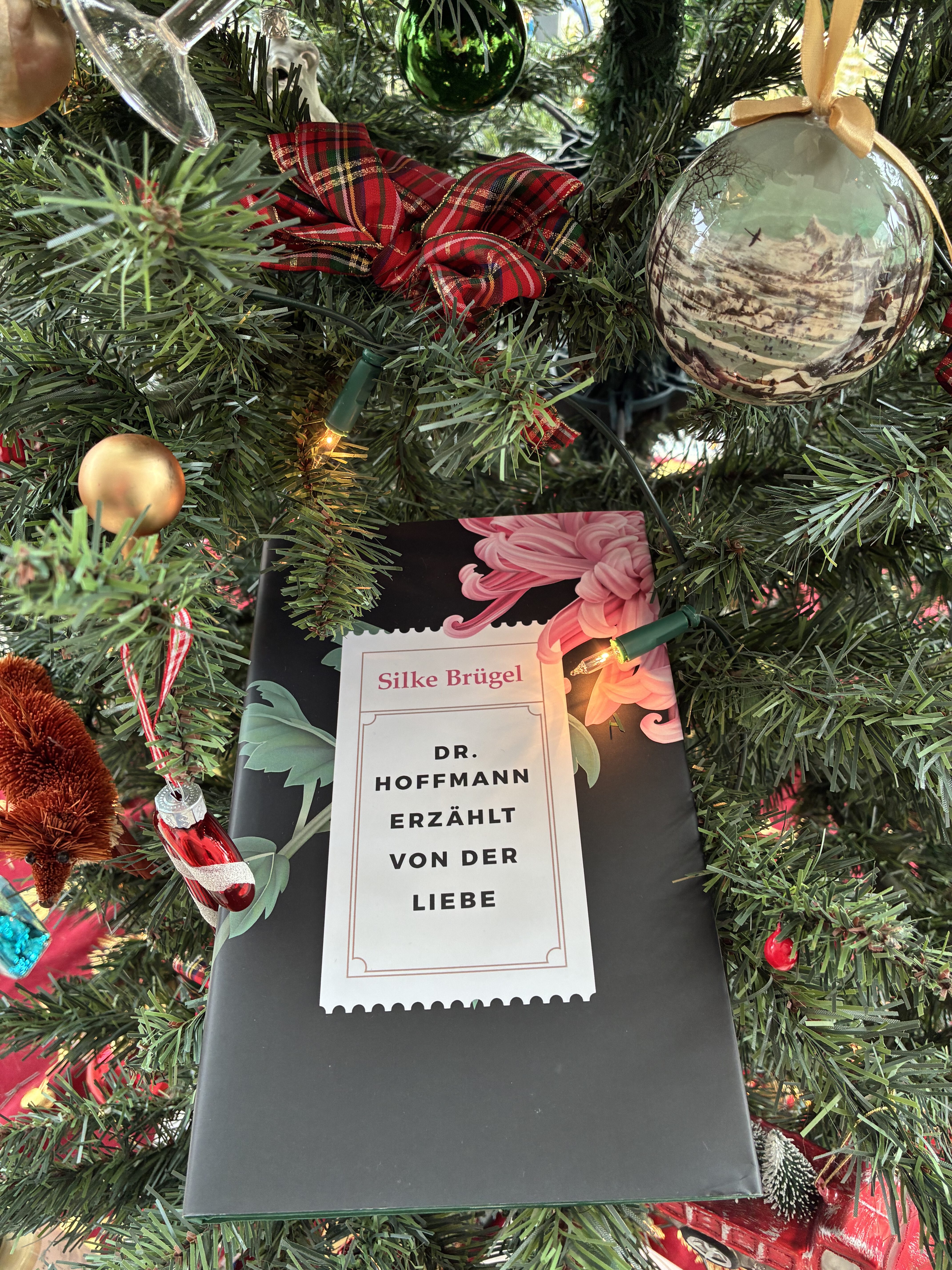 Shortstorys_Dr.HoffmannerzähltvonderLiebe_SilkeBrügel