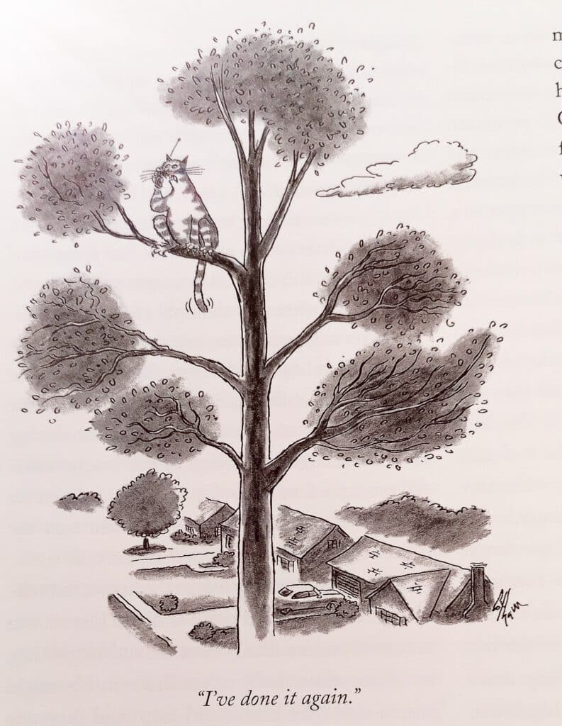 Eine der Cartoons aus dem Buch The Big New Yorker Book of Cats - ein Lesetipp der Autorin und Katzenfreundin Silke Brügel