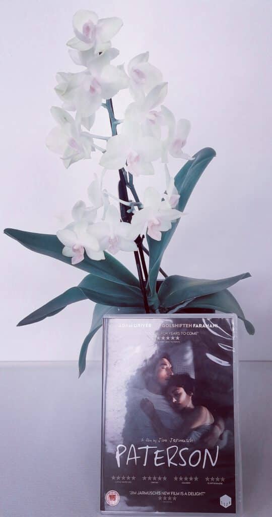 Die Autorin Silke Brügel empfiehlt den Film Paterson von Jim Jarmusch. Nach Ansicht der Autorin Silke Brügel ist es die beste Rolle des amerikanischen Schauspieler Adam Driver Ein poetischer Film voll Kraft, Lebensfreude und der Magie des Alltags.