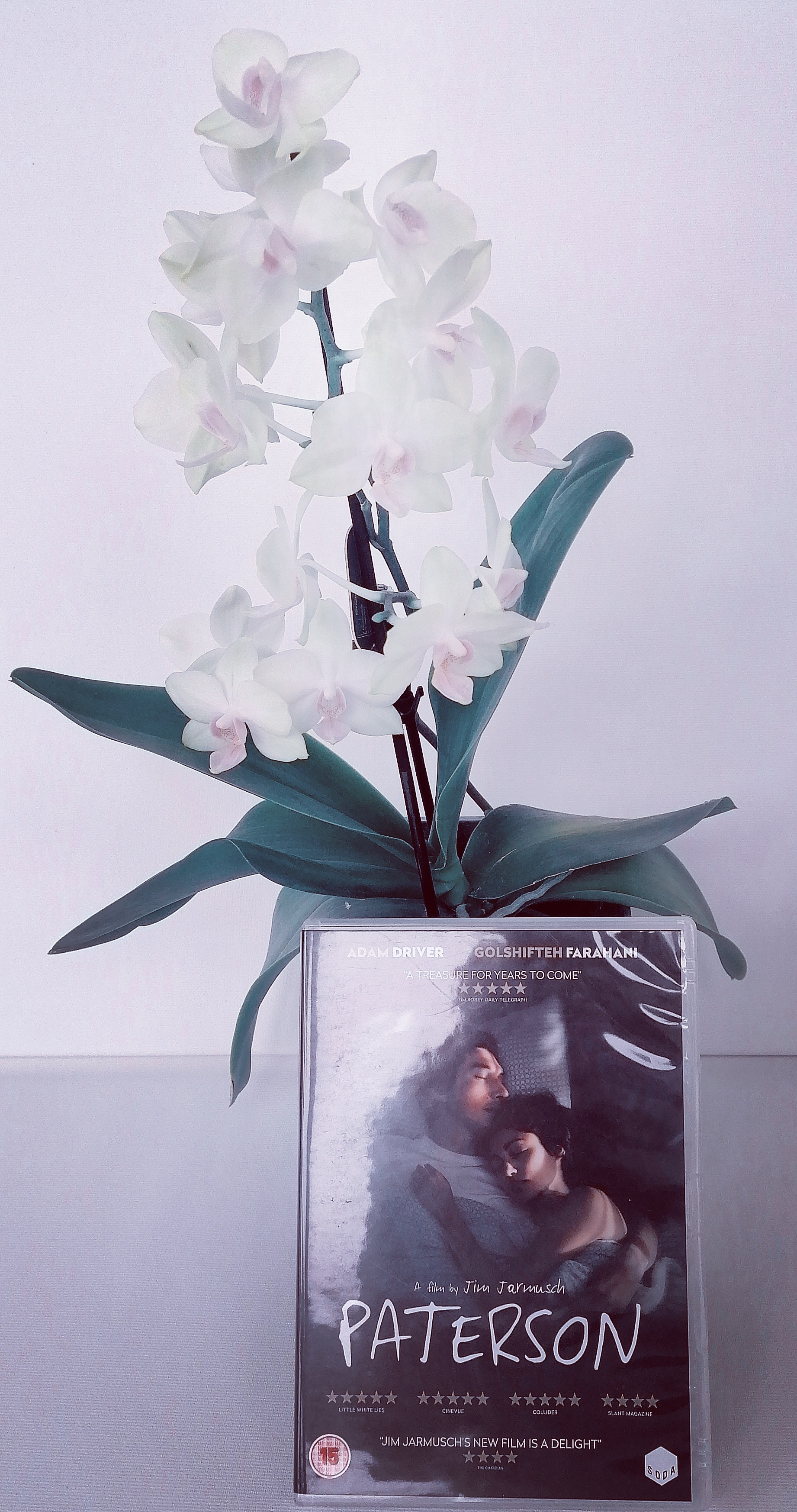 Die Autorin Silke Brügel empfiehlt den Film Paterson von Jim Jarmusch. Nach Ansicht der Autorin Silke Brügel ist es die beste Rolle des amerikanischen Schauspieler Adam Driver Ein poetischer Film voll Kraft, Lebensfreude und der Magie des Alltags.