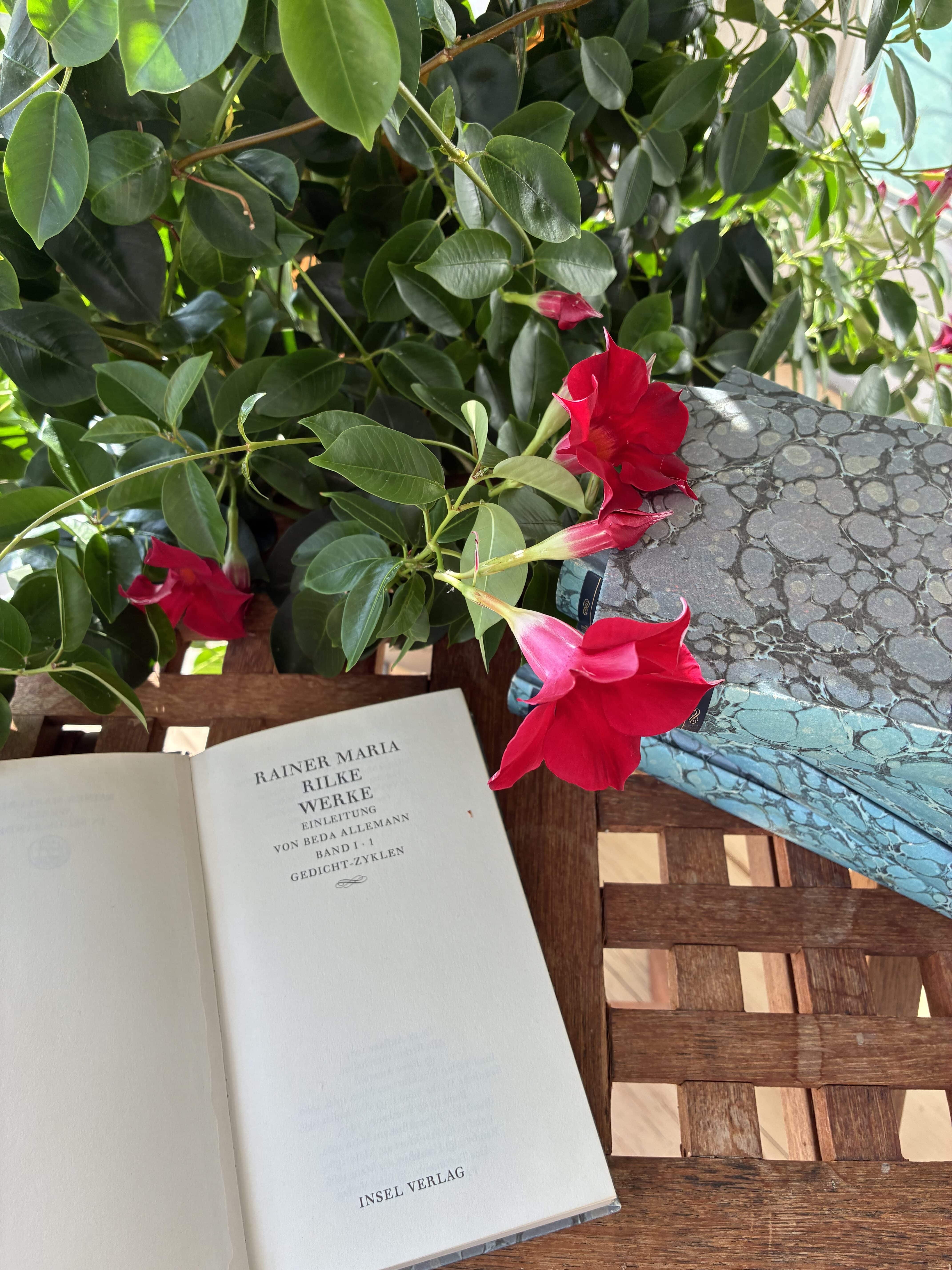 Der 23. April 2026 ist Welttag des Buches . Das ist ein guter Grund zu feiern für die Autorin Silke Brügel und alle BuchliebhaberInnen. Mit Büchern kann man in neue unbekannte Welten reisen, den Verstand erweitern, träumen und vieles mehr. Bücher bedeuten Freiheit. 2025 hat die Autorin Silke Brügel am Welttag des Buches 2025 ihren Roman Mission Helene in der Bibliothek in Manching vorgestellt. Dem Publikum hat die Lesung mit Diskussion gut gefallen. Manching ist nah bei Ingolstadt gelegen, der Geburtsstadt der Autorin Silke Brügel. Silke Brügel hat immer noch ihre Wurzeln in Ingolstadt. Die Lesung war auch wie nach Hause kommen in die Heimat fahren. Lieblingsbücher sind Heimat. Am Welttag des Buches 2026 empfiehlt die Autorin Silke Brügel Rainer Maria Rilke - konkret Die sonnette an Orpheus